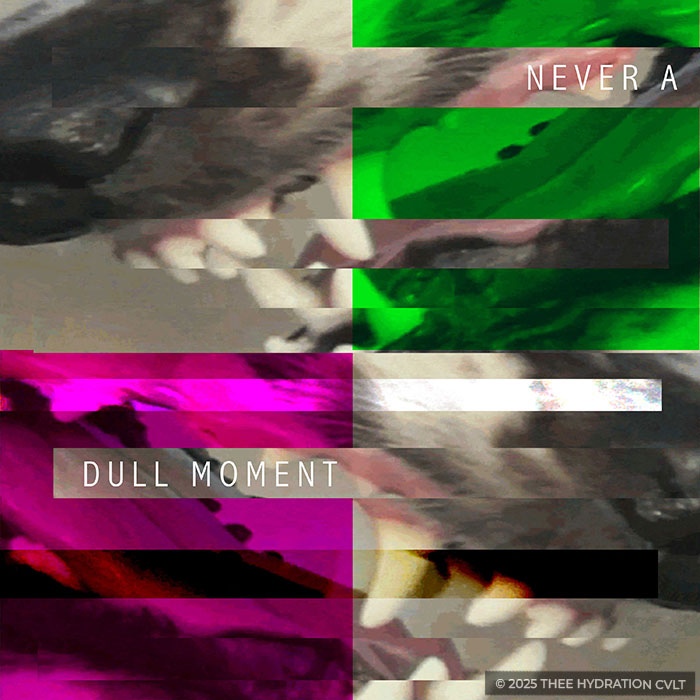 never a dull moment by m.purtlebaugh