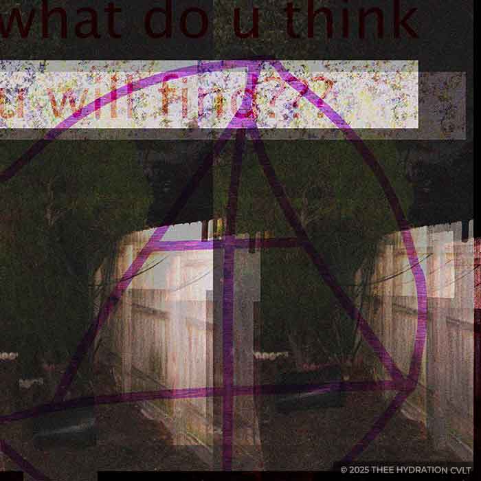 what do u think u will find by m.purtlebaugh